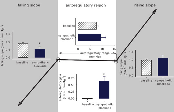 figure-results-7 Autoregulation gain analysis, baseline vs. sympathetic blockade shown in diagram with bar charts.