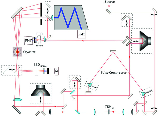Transient absorption spectroscopy diagram; optical setup; cryostat; pulse compressor; PMT detection.
