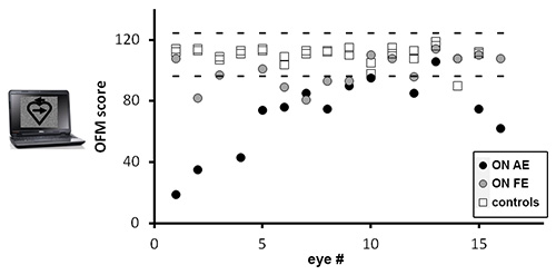 Dynamic Visual Tests to Identify and Quantify Visual Damage and Repair ...