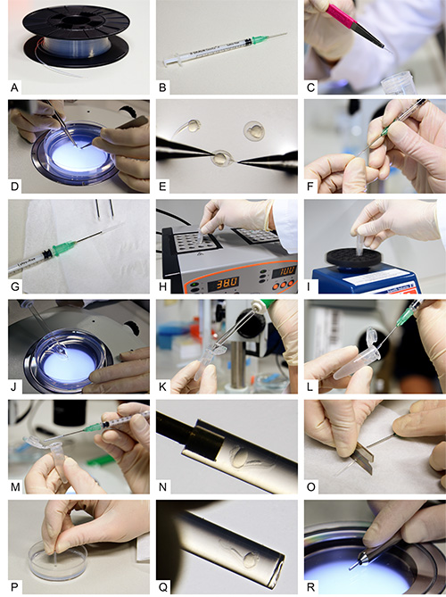 Polymer microdevice fabrication; syringe usage; laboratory setup; optical examination; detail view.