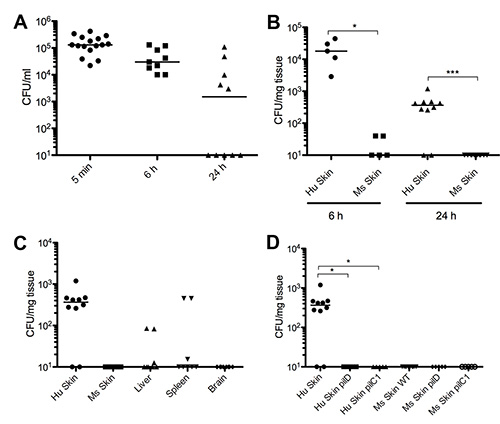 figure-results-1 Bacterial colony-forming units over time; CFU/ml chart; statistical analysis; experimental result.