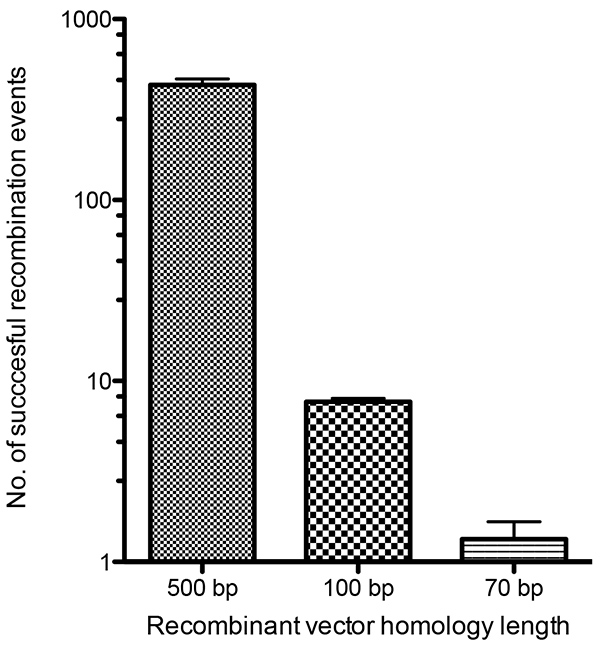figure-results-4 Bar chart showing recombination events vs. vector homology length, illustrating genetic recombination.
