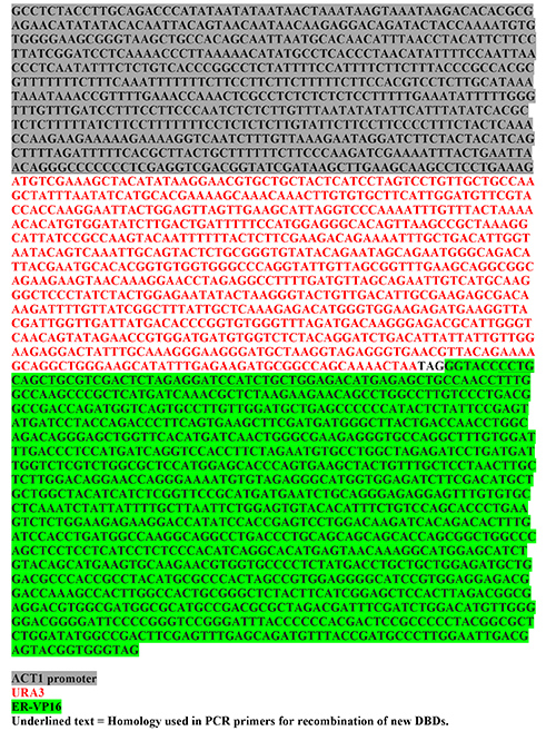 figure-results-3 DNA recombination process diagram; sequence alignment, PCR primer homology for gene editing.