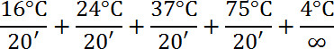 Thermal equilibration process diagram, equations show temperature stages over time intervals.
