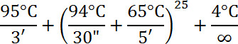 PCR thermal cycling process, equation with temperature steps; key for DNA amplification cycles.