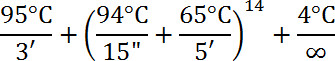 PCR thermal cycling formula; diagram depicts temperature/time stages for DNA amplification process.