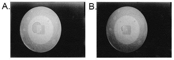 figure-results-4 Gravitational lensing diagram: experiment results showcasing light bending around a massive object.