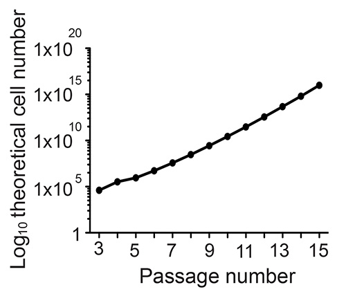 figure-results-3 Theoretical cell number vs. passage number graph; illustrates cell growth over passages.