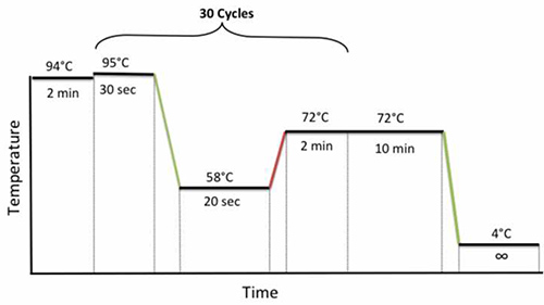 figure-protocol-1
