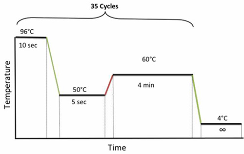 figure-protocol-4