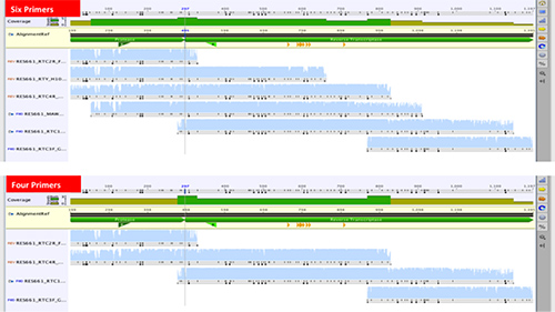 figure-results-2