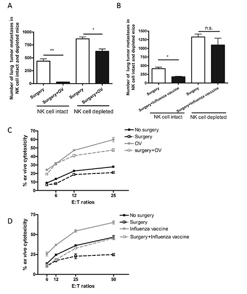 figure-results-2 Tumor metastasis bar graphs and cytotoxicity line charts; surgery, OV, influenza vaccine results.