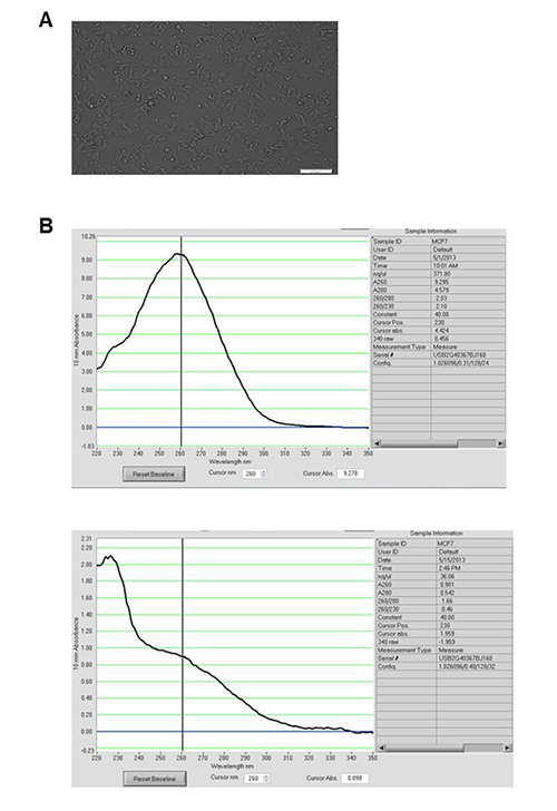 figure-results-3 figure-results-3