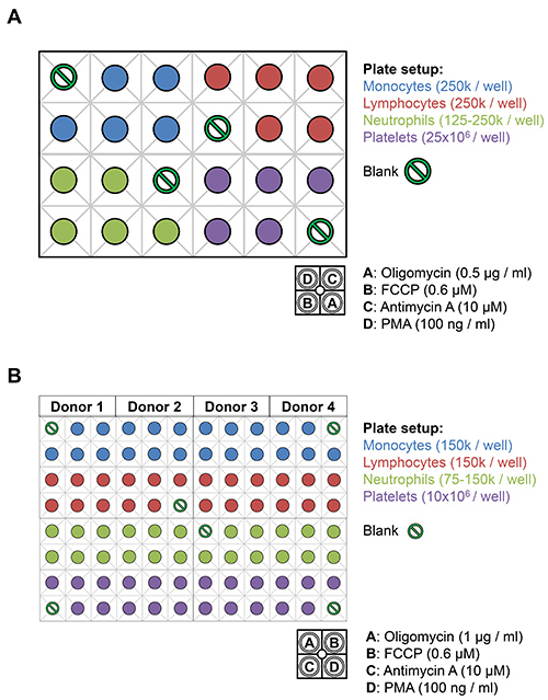 figure-results-3 Cell plate setup for drug testing; diagram with monocytes, lymphocytes, neutrophils, platelets.