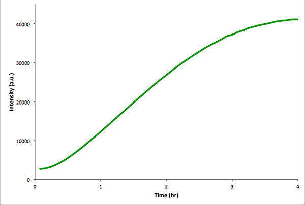 figure-results-4 Absorption graph, intensity vs. time, spectroscopic data analysis, kinetic measurement.