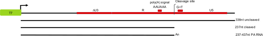 figure-results-1