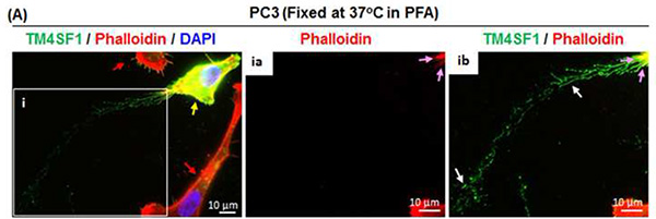 figure-results-2 figure-results-2