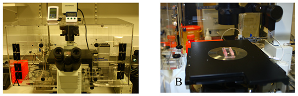 figure-results-2 Microscopy setup with optical components for cellular imaging; includes enclosure and slide stage.