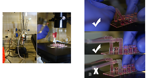 figure-results-4 Microfluidics experiment with lab setup and steps; syringe pump; biological sample processing.
