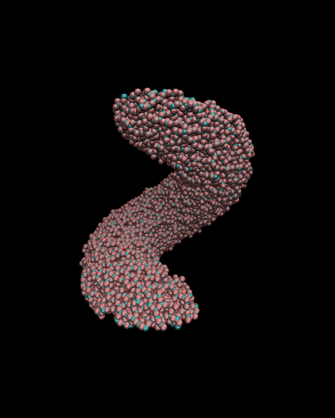 3D protein structure; molecular modeling diagram; computational biology analysis.