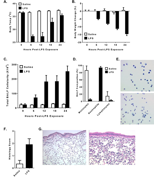 LPS exposure results: body temp, weight change, BALF cellularity, composition, microscopy, histology.