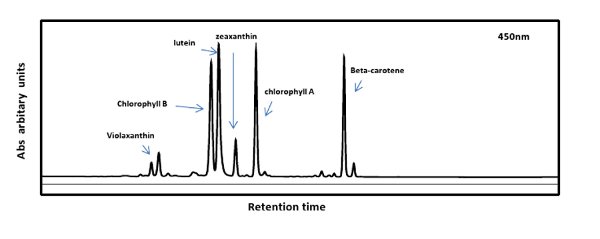 Chromatography diagram; retention time vs. absorption at 450nm; carotenoids, chlorophylls.
