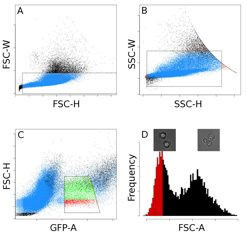 figure-protocol-1