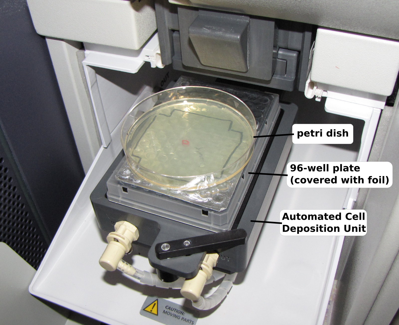 figure-protocol-2