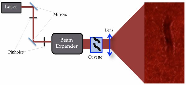 Laser setup diagram: beam expander, cuvette; optical study, laser spectroscopy, photonic analysis.