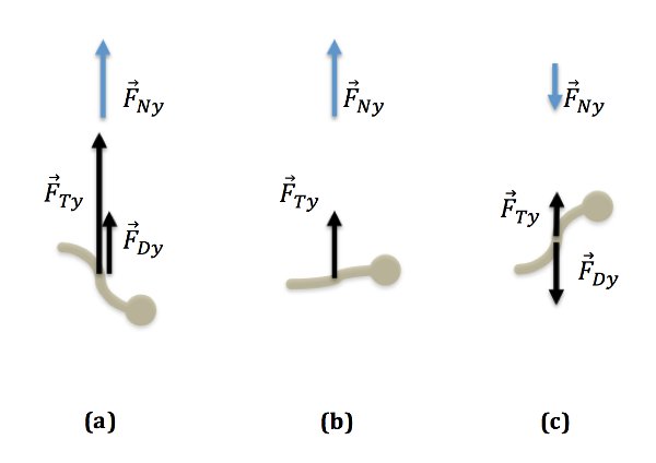 Static equilibrium diagram with force vectors: ΣFy=0, components FNy, FTy, FDy.