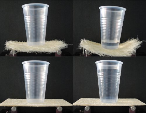 figure-results-3 Static equilibrium demonstration, plastic cup on straw support, physics experiment setup, stability analysis.