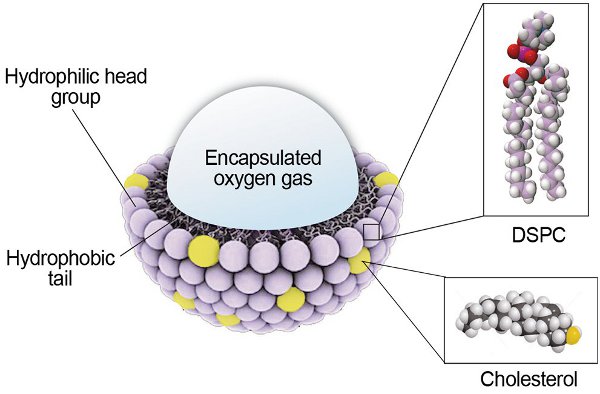 figure-results-3 Liposome structure diagram with DSPC, cholesterol; encapsulated oxygen; hydrophilic and hydrophobic parts.