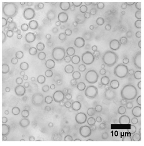 figure-results-4 Microscope image of microemulsion droplets; scale bar 10 µm; droplet size distribution analysis.