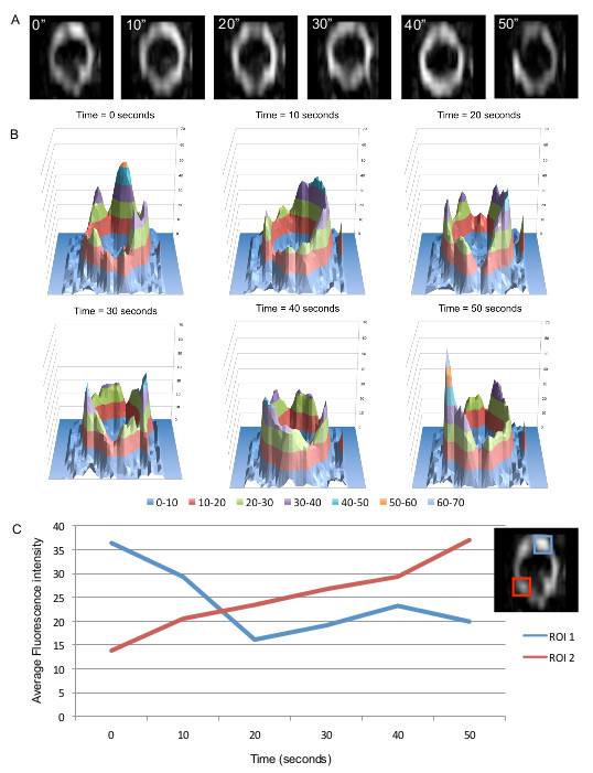 figure-results-5 figure-results-5