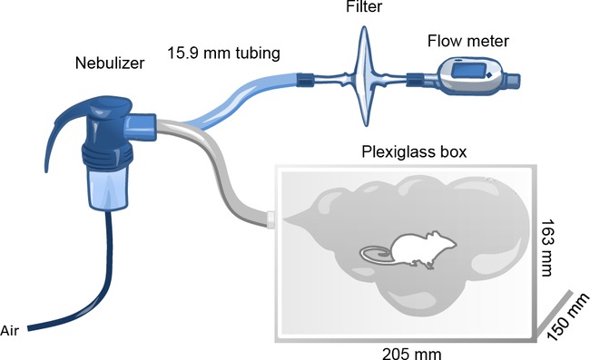 Nebulizer setup with flow meter for inhalation study in rodent plexiglass chamber diagram.