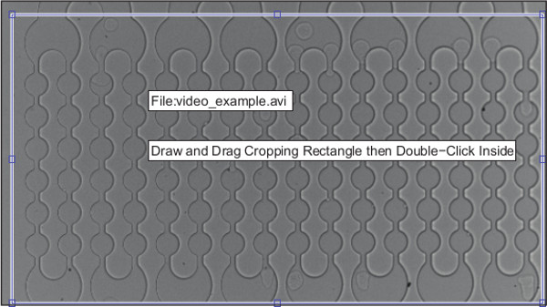 figure-results-3 Microfluidic chip diagram with channel patterns for fluid dynamics study.