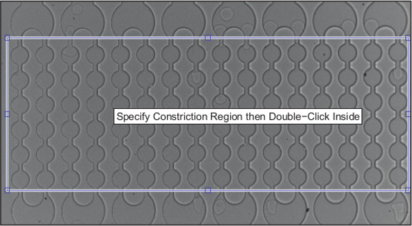figure-results-4 Microfluidic constriction region diagram; specifies analyzing fluid dynamics and constriction areas.