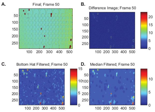 figure-results-5 Time-lapse data analysis with image filtering methods; includes Bottom Hat and Median Filter results.