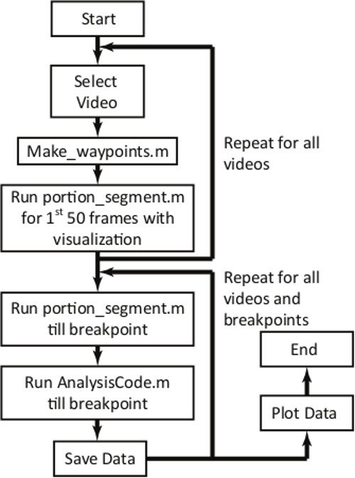 figure-results-7 Algorithm flowchart for video segmentation using MATLAB scripts; processes, analyzes data.