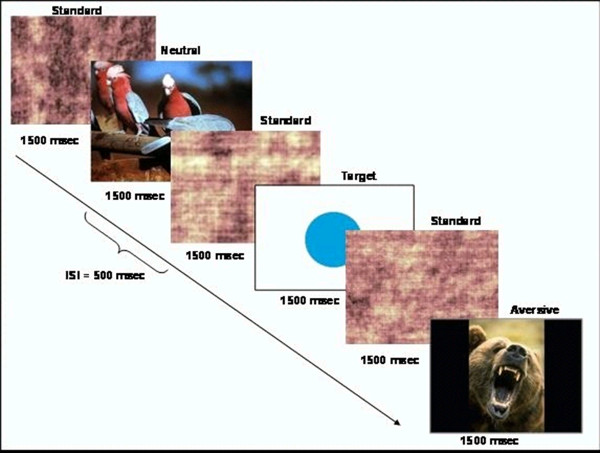 Visual sequence diagram showing stimulus presentation timing for cognitive response study.