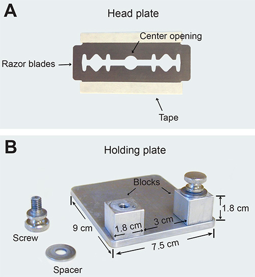 figure-results-1