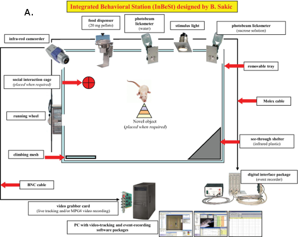 figure-introduction-2 Integrated Behavioral Station diagram for animal behavior study; includes devices and setup layout.