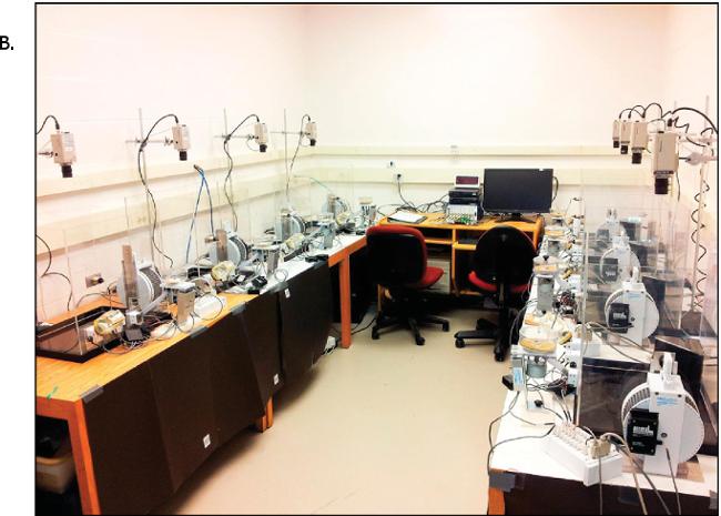 figure-introduction-3 Laboratory setup for precision experimental research, featuring multiple spectroscope systems.