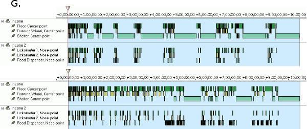 Behavior pattern diagram, animal activity tracking, data visualization, experimental setup analysis.