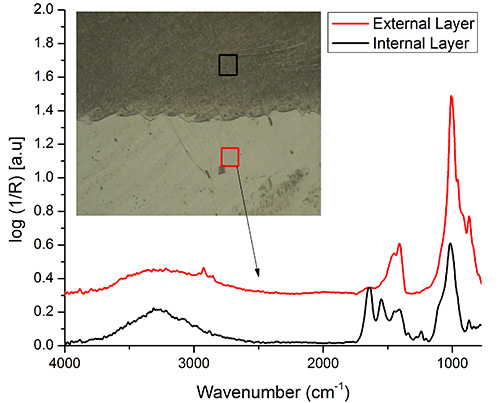 FTIR spectral analysis; graph compares external/internal layers; microscopy inset details layer structure.