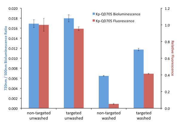 Bioluminescence vs fluorescence graph showing Kp-QD705 analysis; bar chart, data comparison.