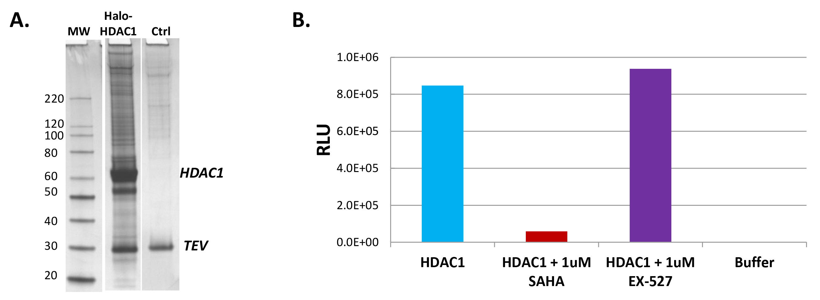 figure-results-2 figure-results-2