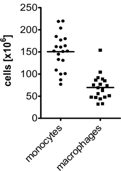 figure-results-2