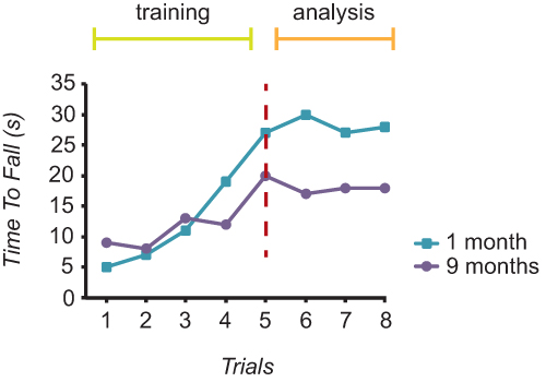 Time to fall vs. trials graph showing training and analysis phases at 1 and 9 months.