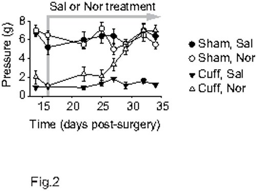 Pressure vs. time graph; post-surgery treatment effects; Sal and Nor comparative analysis; Fig.2.